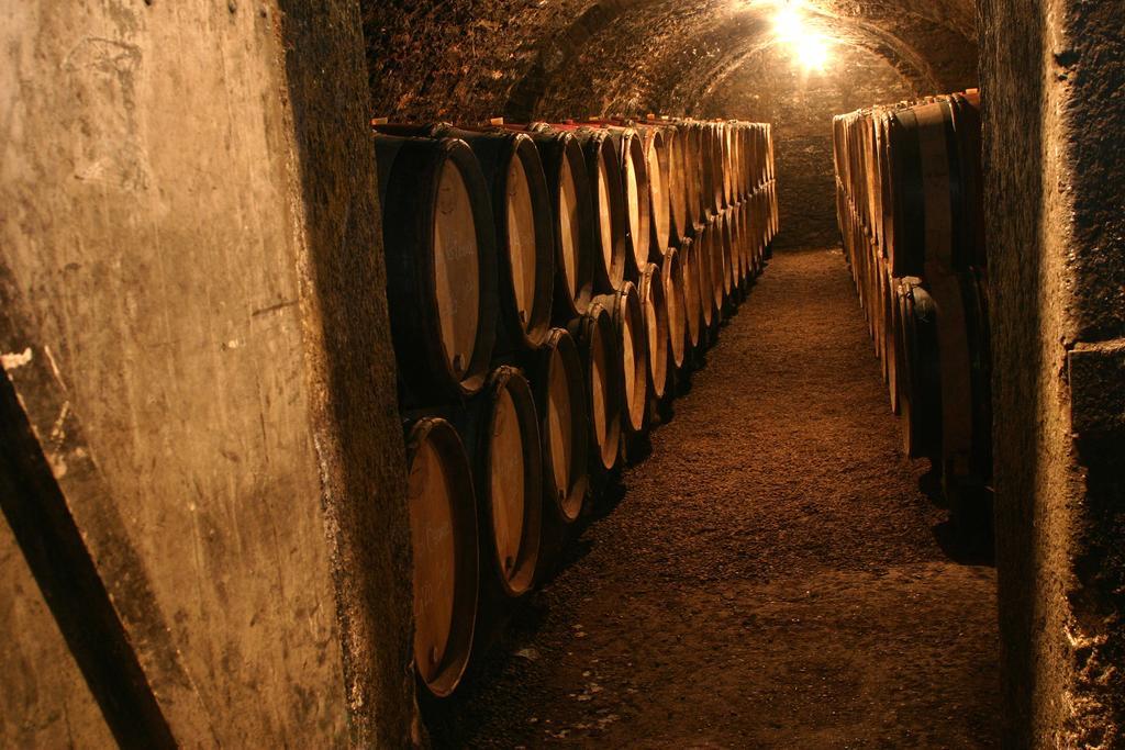 Maison D'Hotes Chandon De Briailles Savigny-lès-Beaune Dış mekan fotoğraf